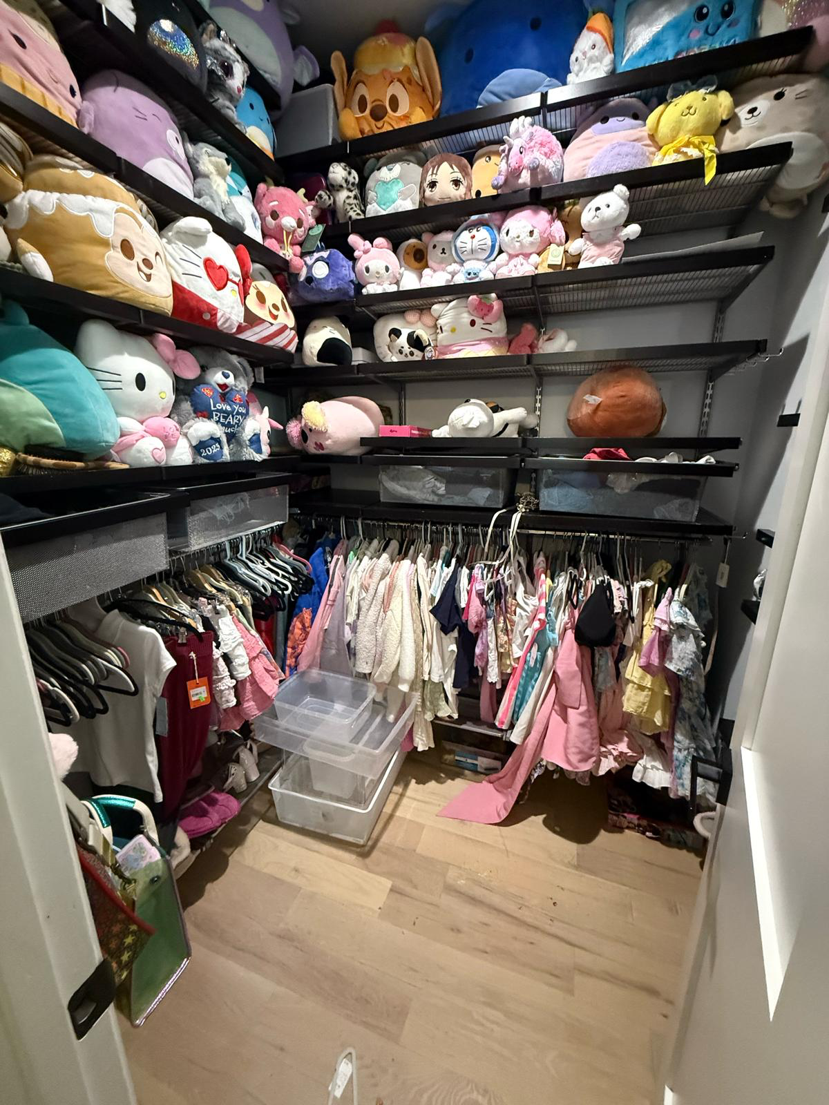 An organized closet displaying a colorful plush collection